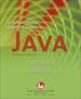 Programming and Problem Solving With Java
