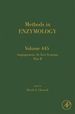 Angiogenesis: in Vivo Systems, Part B: in Vivo Systems, Part B