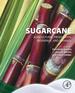 Sugarcane: Agricultural Production, Bioenergy and Ethanol