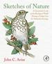 Sketches of Nature: a Geneticist's Look at the Biological World During a Golden Era of Molecular Evolution