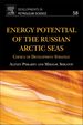 Energy Potential of the Russian Arctic Seas: Choice of Development Strategy