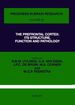 The Prefrontal Cortex: Its Structure, Function and Pathology: Its Structure, Function and Pathology