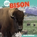 Bison