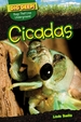 Cicadas