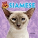 Siamese