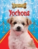 Yochons