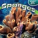 Sponges