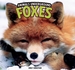 Foxes