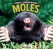 Moles