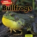 Bullfrogs