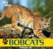Bobcats