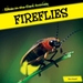 Fireflies