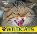 Wildcats