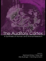 The Auditory Cortex
