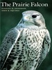 The Prairie Falcon