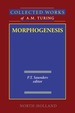 Morphogenesis