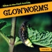 Glowworms