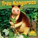 Tree Kangaroos