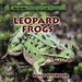 Leopard Frogs