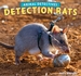 Detection Rats
