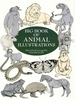 Big Book of Animal Illustrations