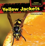 Yellow Jackets