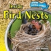 Inside Bird Nests