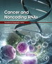 Cancer and Noncoding Rnas