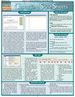 Cascading Style Sheets