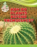How Do Plants Defend Themselves?