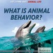 What is Animal Behavior?