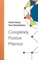 Completely Positive Matrices