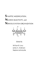 Synaptic Modification, Neuron Selectivity, and Nervous System Organization