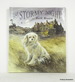 One Stormy Night
