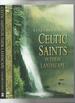 Celtic Saints in Their Landscape