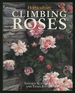 Climbing Roses