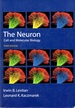 The Neuron: Cell and Molecular Biology