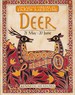 Deer (Little Library of Earth Medicine)