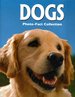 Dogs: Photo-Fact Collection