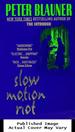 Slow Motion Riot
