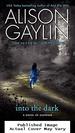 Into the Dark: a Novel of Suspense (Brenna Spector Novel)