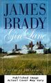Gin Lane: a Novel of Southampton (Beecher Stowe and Lady Alex Dunraven Novels)