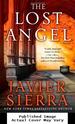 The Lost Angel: a Novel