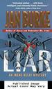 Liar: an Irene Kelly Mystery
