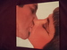 Bert Stern Adventures