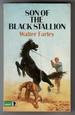 Son of the Black Stallion