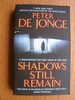 Shadows Still Remain