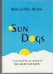 Sun Dogs