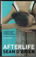 Afterlife