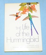 The Life of the Humingbird